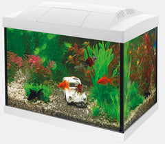 SUPERFISH START 20 AQUARIUM KIT