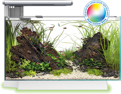 Superfish Quadro Pro