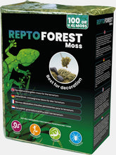 REPTO FOREST MOSS 100 GRAM
