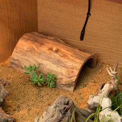 HABISTAT BOOMSTRONK SCHUILPLAATS