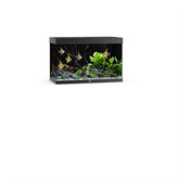 JUWEL AQUARIUM RIO 290 ZWART LED