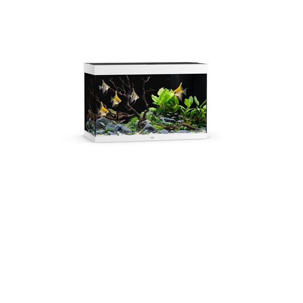 Juwel Aquarium Rio 290 Wit LED