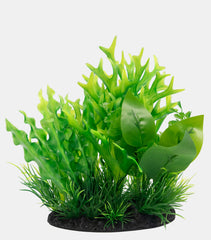 SF DECO PLANT S NR 4