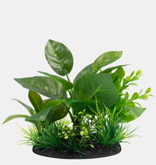 SF DECO PLANT S NR 5