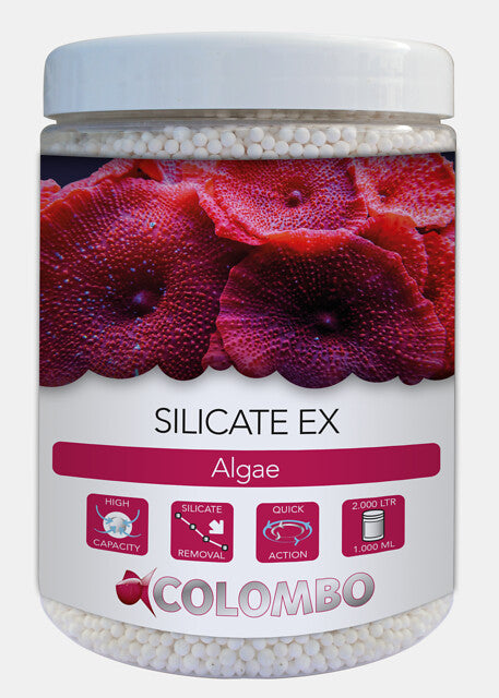 Colombo Marine Silicate Ex