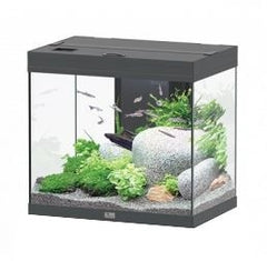 AQUATLANTIS AQUARIUM SPLENDID 60 ULTRA BIOBOX ANTHRACIET-097