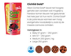 Hikari cichlid gold