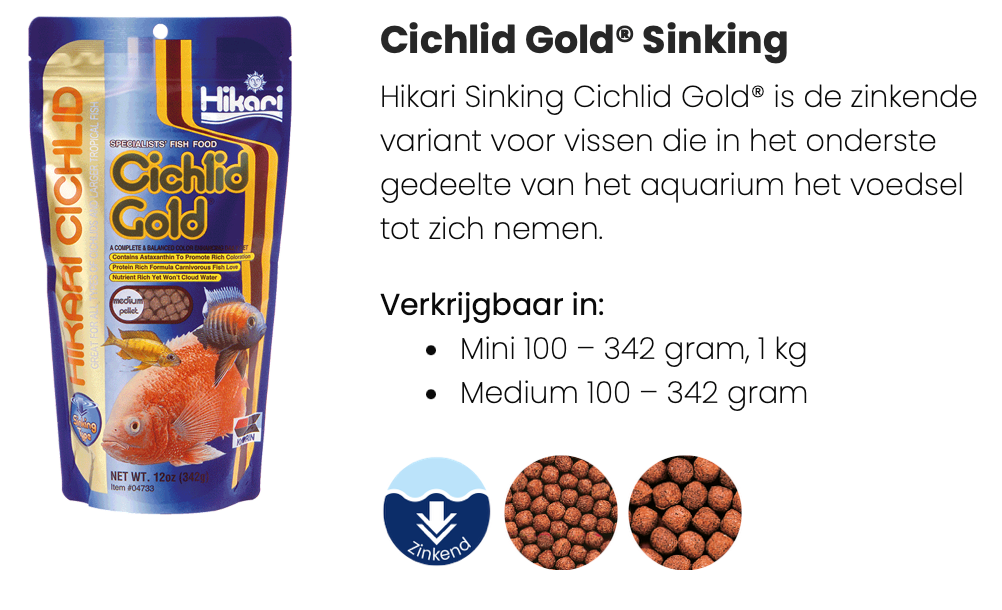 Hikari Cichlid Gold Zinkend