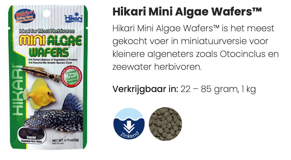 Hikari Mini Algae Wafers