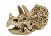 Superfish skull