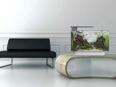 Superfish Quadro Pro