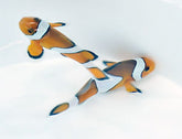 Amphiprion ocellaris - T.B.