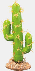 REPTO PLANT CACTUS SAN PEDRO
