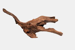 MANGROVE AGED WOOD