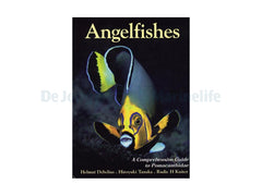 Angelfishes Guide