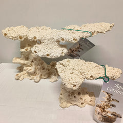 ANVIL M