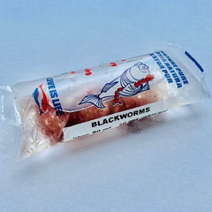 Blackworms 90 ml. Lombriculus var.