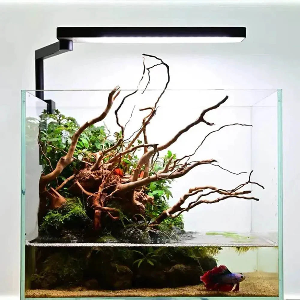 Chihiros C2 RGB 20-35 cm - Incl. Duitse trafo
