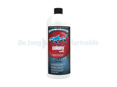 Colony Nitrify Bacteria Marine - 946ml