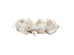 coral pins (100 pcs.)