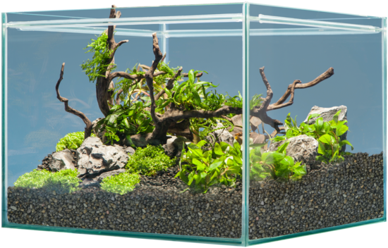 Sera Hardscape Shrimp