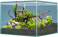 sera Hardscape Shrimp