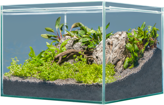 Sera Hardscape Asia