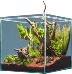 sera Hardscape Scaper Cube South America