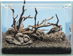 sera Hardscape Shrimp