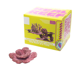 Real Reef Plate Coral - 10pcs