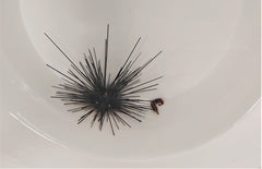 Urchin + Diademichthys