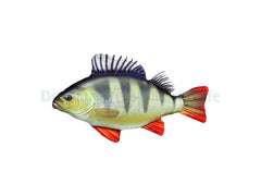 Perch Pillow - Medium