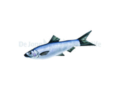 Herring Pillow - Medium