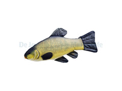 Tench Pillow - Medium