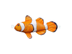 Nemo/Clown Fish Pillow - Mini