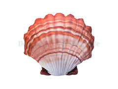 Scallop Pillow Orange - Medium