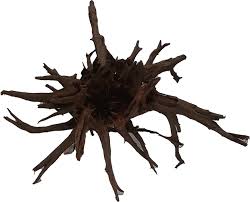 Selected CORBO-ROOT JUMBO XXL 80-120cm