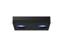 Hydra 32 HD LED - Black (incl EU 220V cable)