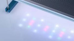 Twinstar Light S-Line III 1200