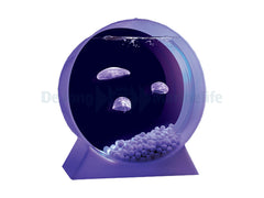 Jelly fish aquarium colour
