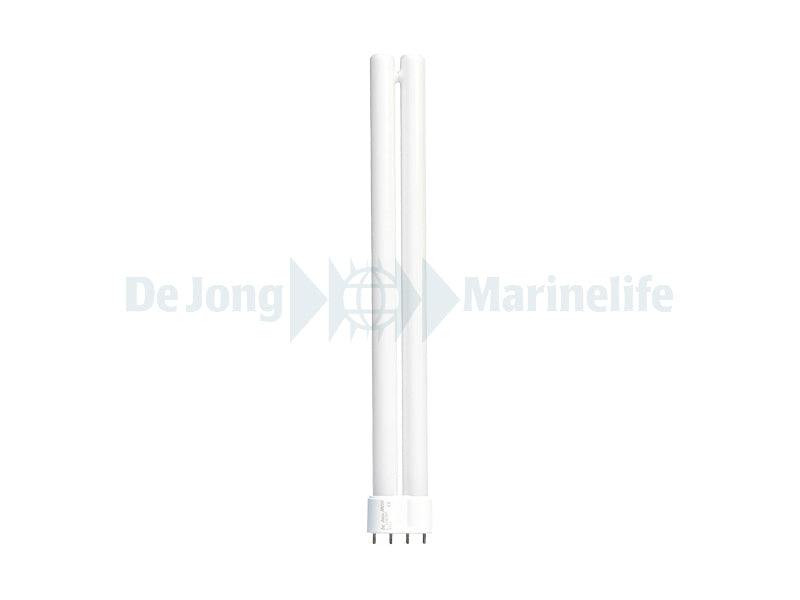 Ocean White power compact 24 W