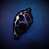 Ovula ovum