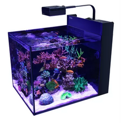 MAX® NANO Peninsula G2