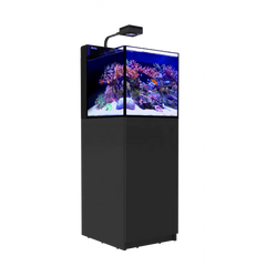 MAX® NANO Peninsula G2