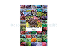 Poster Lemon Tyk - Corals