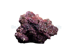 Real Reef Rock - Small/Medium
