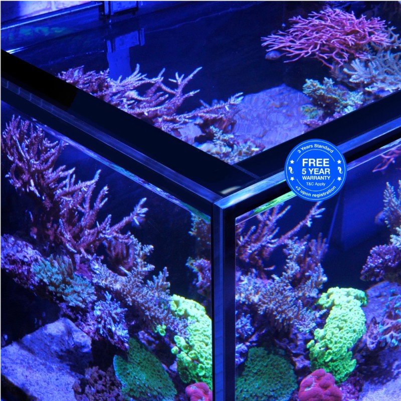 Red Sea REEFER 200 G3 Deluxe - Black (incl. 1 X RL115 & arm)