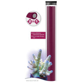 Reef Construct purple (2-in-1 stick 114 g)