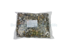 Shells - 2500 g