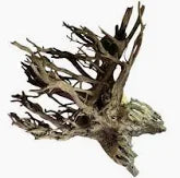 Selected CORBO-ROOT JUMBO XXL 80-120cm